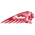 INDIAN MOTORCYCLE brand logo